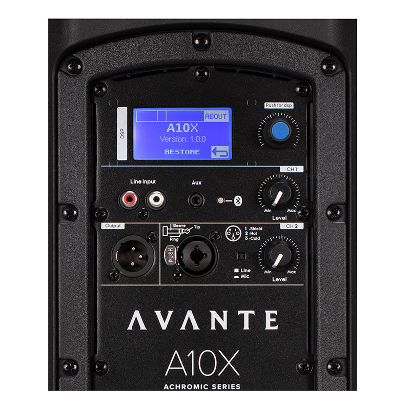 Avante Audio Achromic Series A10X Loudspeaker