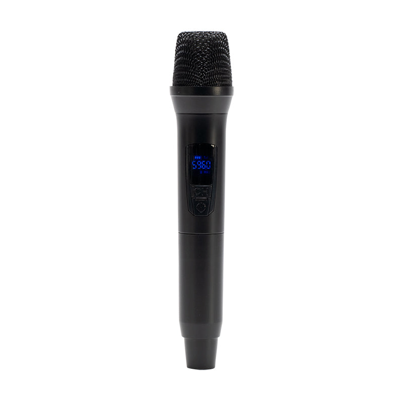 American Audio APX12 GO BT