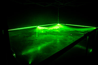 Laser Swamp- Standard Package