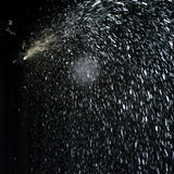 Eliminator Lighting VF Snow Flurry HO EP