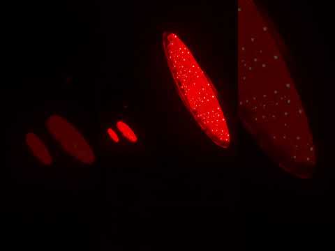 Eliminator Lighting Mega Go Par 64E